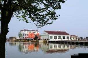 久产九人力资源有限公司丰鱼丰人:助力您的职业生涯发展