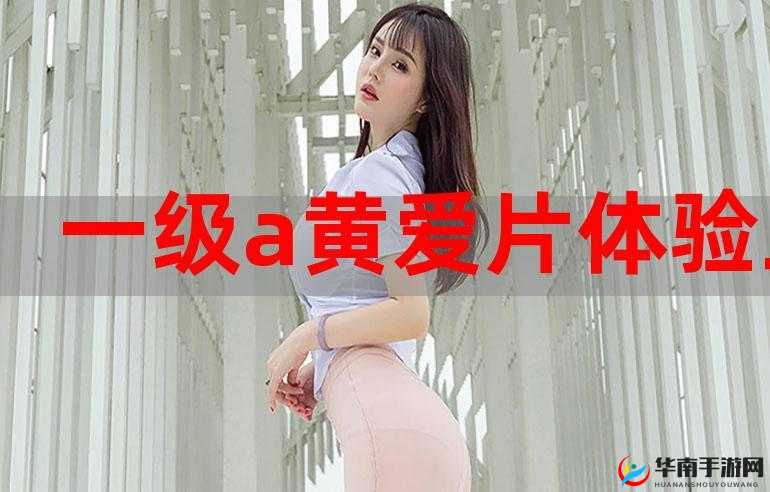 一级 a 免一级 a 做免费线看内裤相关内容大揭秘