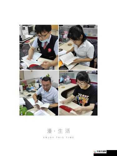 台湾佬大咪咪网：独特视角探秘网络世界