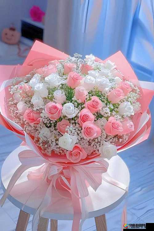 意大利满天星 A 级究竟是正规还是仿的真相探寻