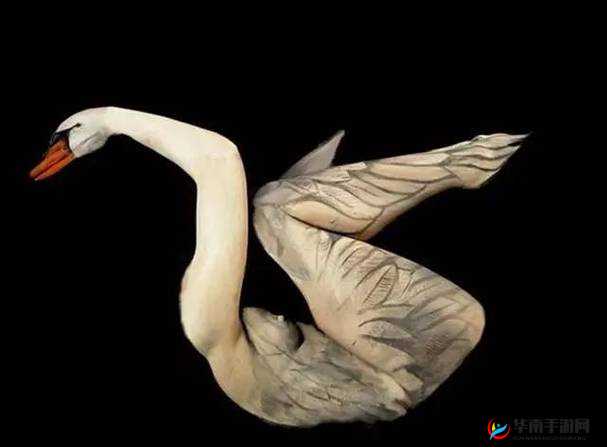 137 最大但人文艺术体:探寻独特艺术之美与极致境界