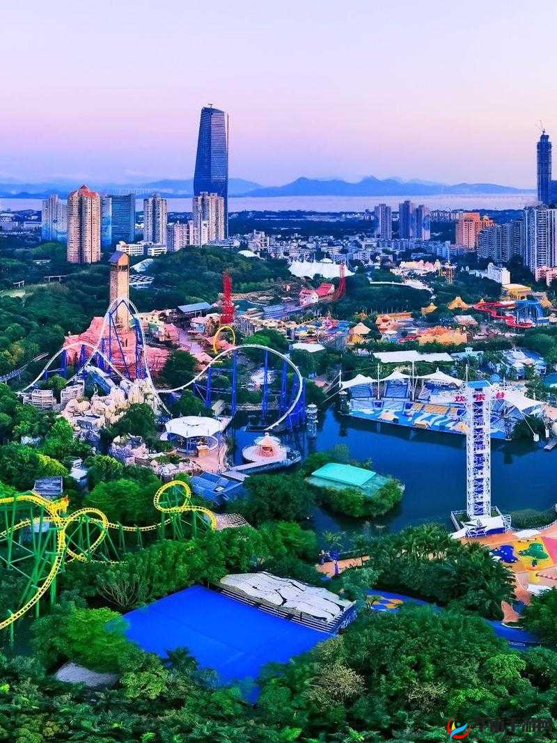 青娱乐 911：畅享无限精彩的娱乐世界