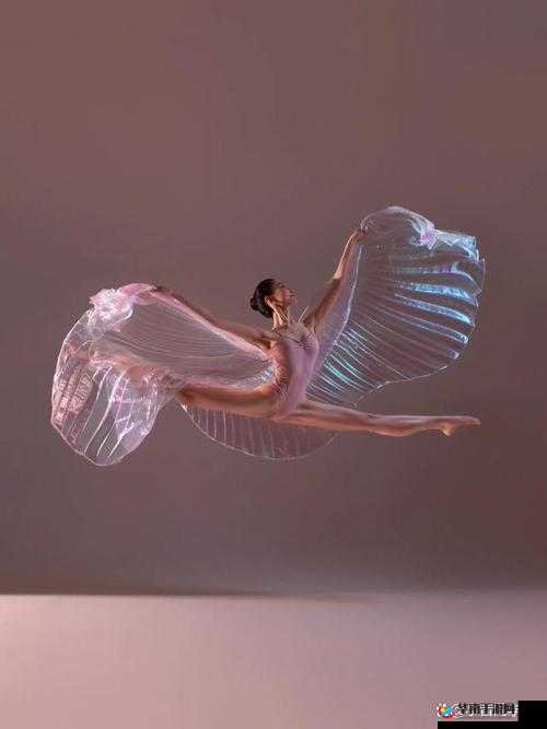 自己准备纸巾的舞蹈：独特演绎中的别样魅力