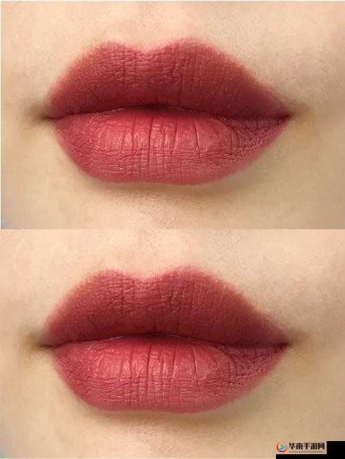 YSL 千人千色 AE86V9 增设多条线路：打造个性化出行体验