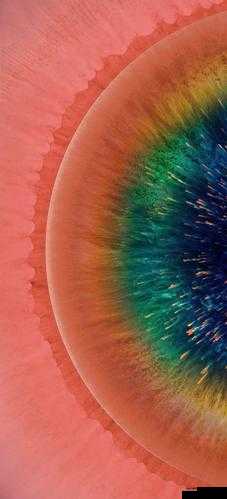 需要爸爸播种高清手机：畅享极致视觉体验的必备利器