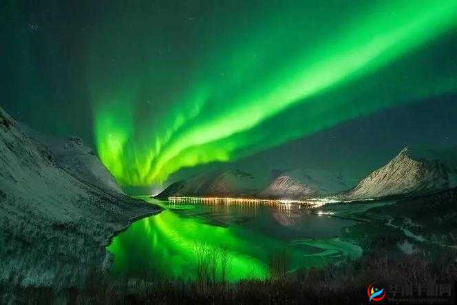 色彩斑斓度数高分的大片震撼来袭