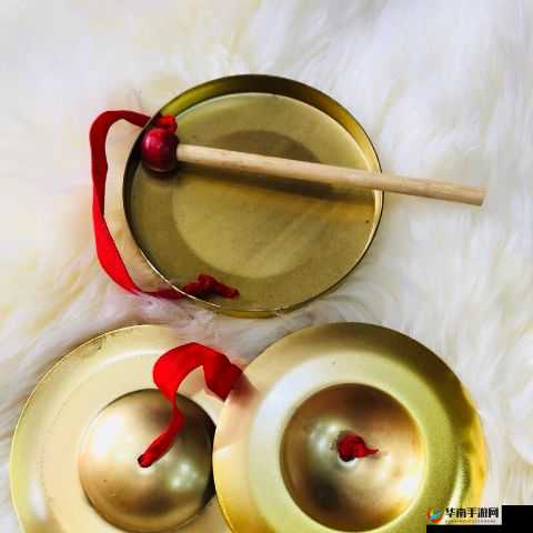 锵锵锵铜铜铜铜免费：带你领略独特的节奏魅力