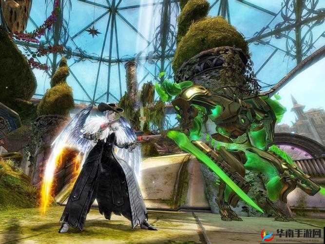 激战 2 野外传护外观视频：华丽变身与冒险之旅