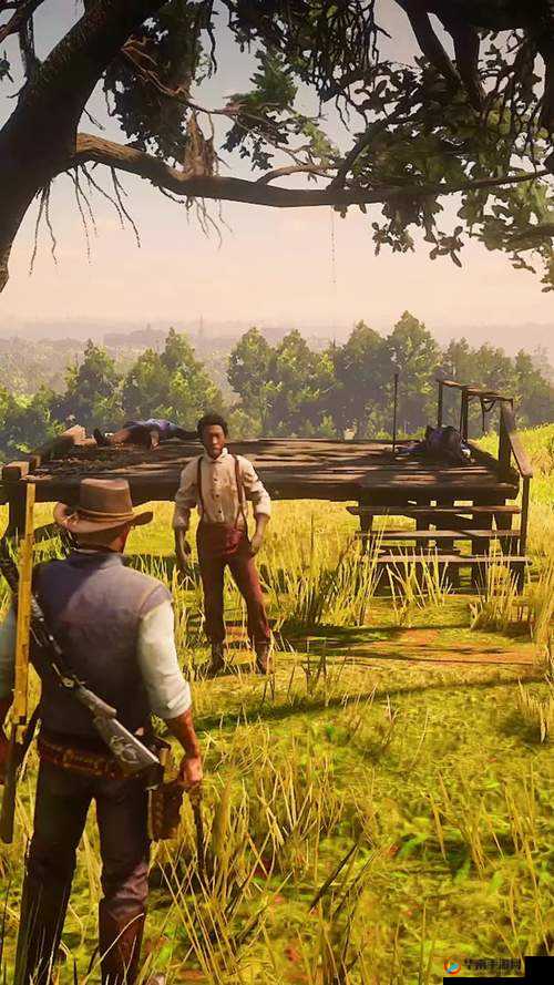 荒野大镖客 2 三姐妹高清：绝美画面震撼呈现