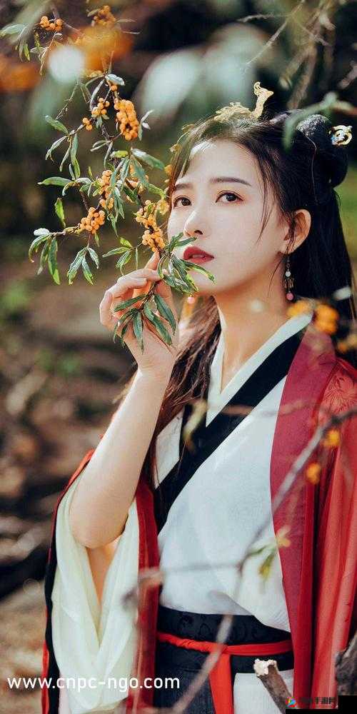 成品网站 W 灬源码 1277 免费版：开启便捷建站之旅