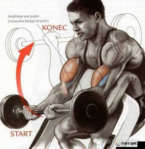 密臂是一个什么样的存在及其重要性和影响力分析