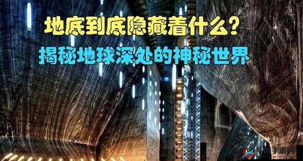 三更半夜外站midnight：探寻其背后的神秘世界