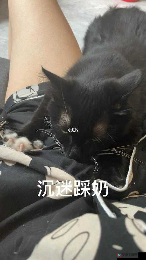 嗟嗟嗟嗟嗟嗟嗟好痛:这无法承受的疼痛何时休