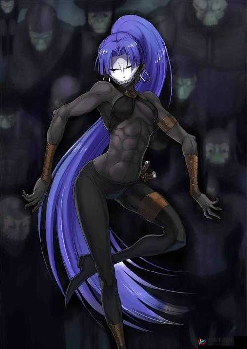 命运冠位指定FGO百貌之哈桑满破素材获取途径