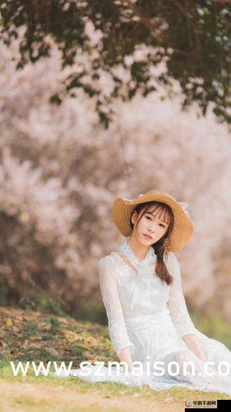 激战后厨 1 至 5 集剧情介绍精彩纷呈不容错过