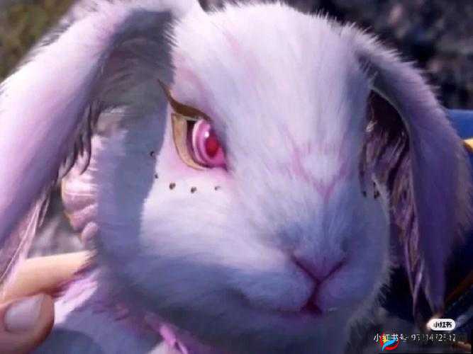 小舞你的小兔子好玩小游戏：开启趣味奇妙之旅