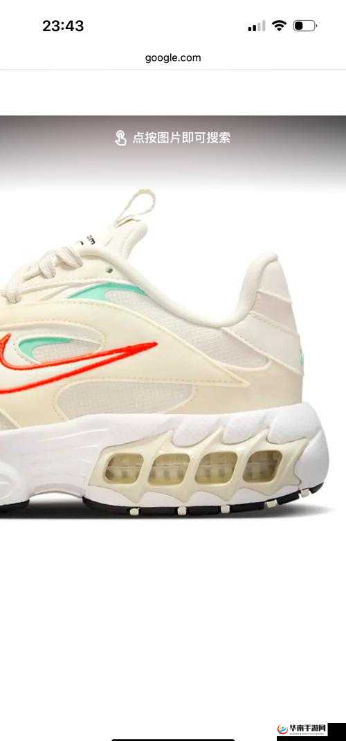 Zoom 与动物 Zoom 最新版本：带来全新体验与惊喜