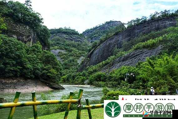 ZOOMSERVO 兽狗剧情解析：深度剖析其背后的故事与内涵