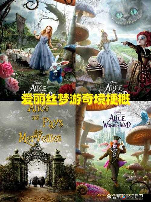 欧美人与 doq 的奇妙故事及背后的深意