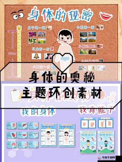 男女上下供 120 秒：探索独特运动方式的时间奥秘