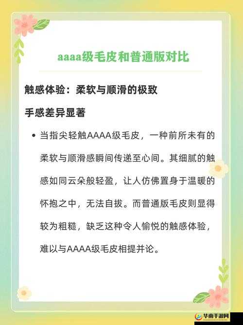 AAAA 级毛皮是纯还是仿这一问题究竟该如何判断