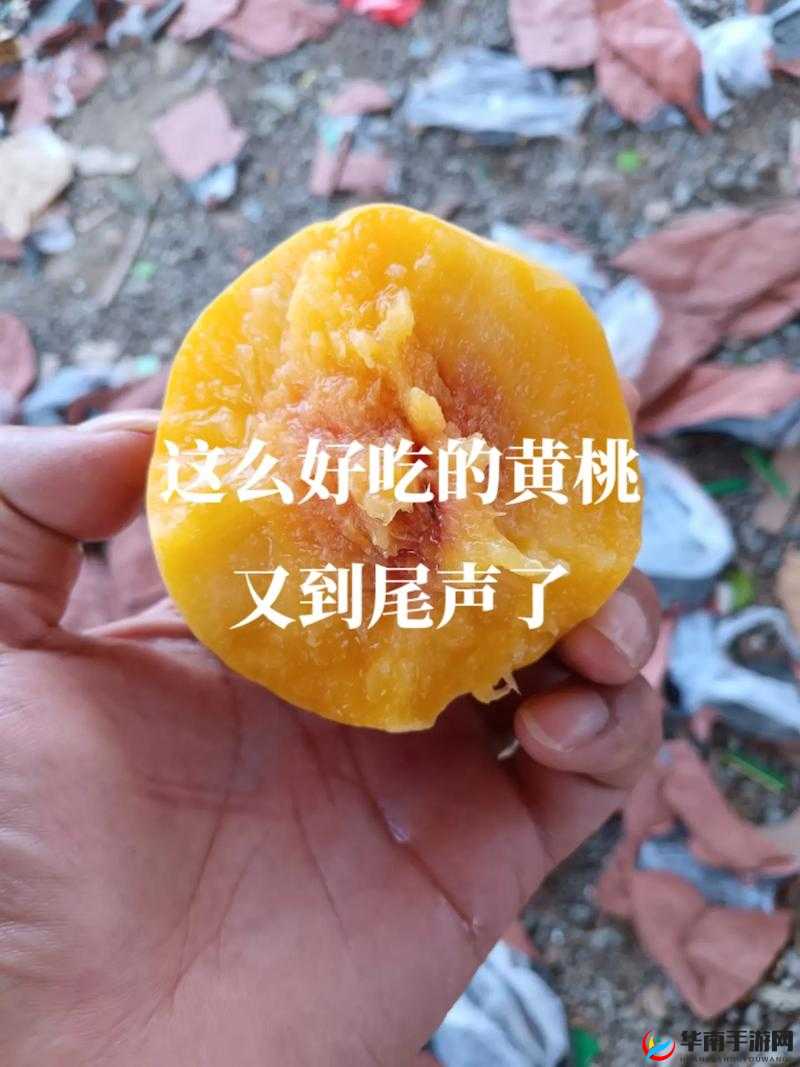 9612黄桃网站手机据说可以让你告别烦恼:真有这么神奇吗