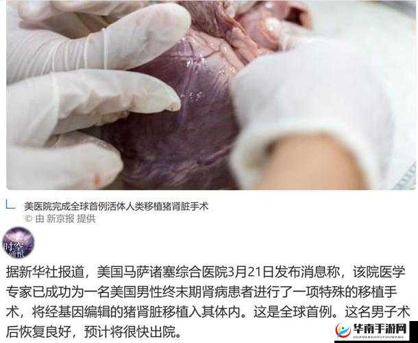 美国人与猪的 DNA 研究的新发现及意义探讨