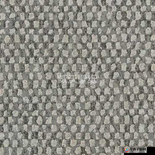 91 兔费高清无砖码区：探索未知的神秘领域