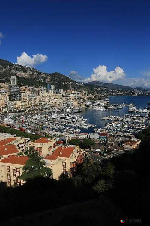 yingdan 小镇按尺寸坐公墨：探寻其背后独特的发展模式与魅力