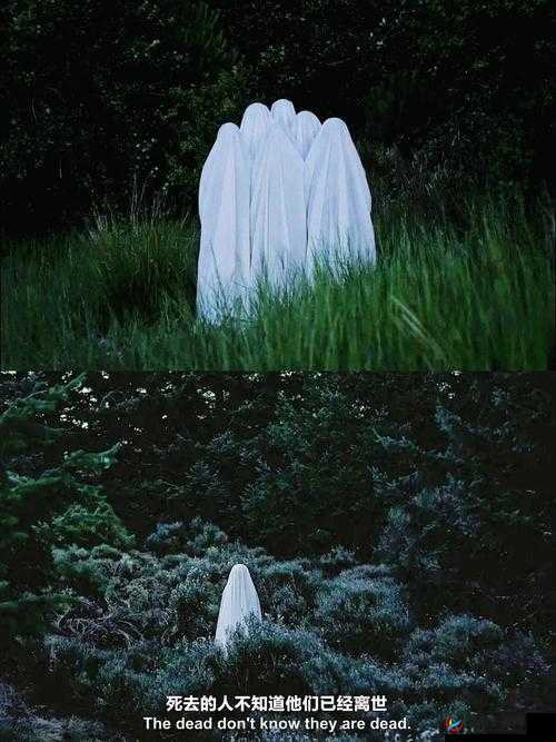 最好免费观看高清在线：畅享极致视觉盛宴