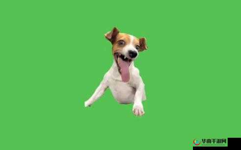 mememe 视频完整版在线观看：精彩内容不容错过