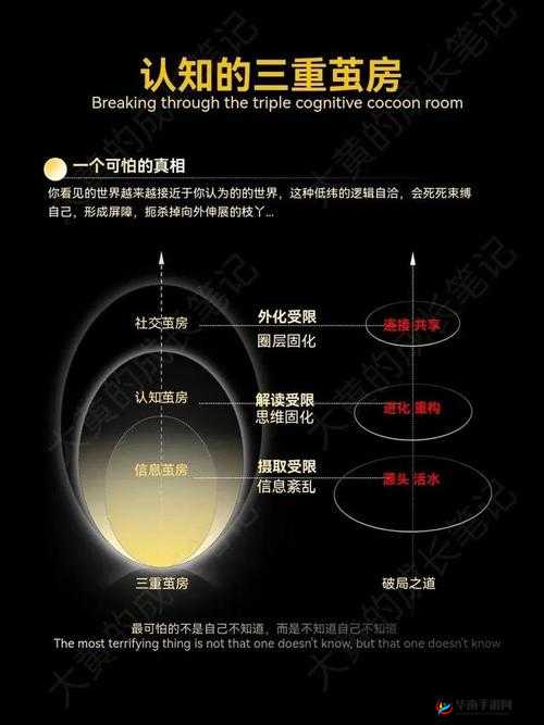 一直 5g 一直奭 5gbuzz:探索其背后的无限可能