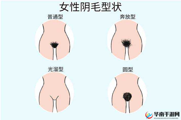 女性私处突出的翅膀是什么：探究其奥秘