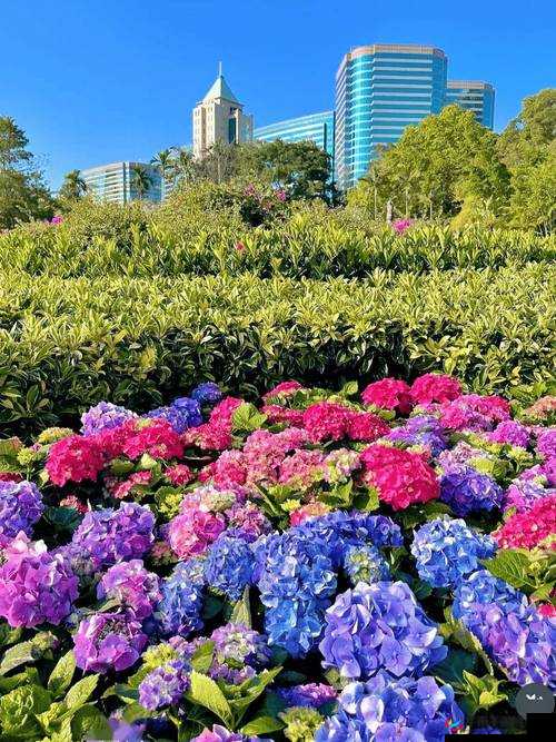 户外插bbbb：探索自然环境中的多样连接方式与应用场景