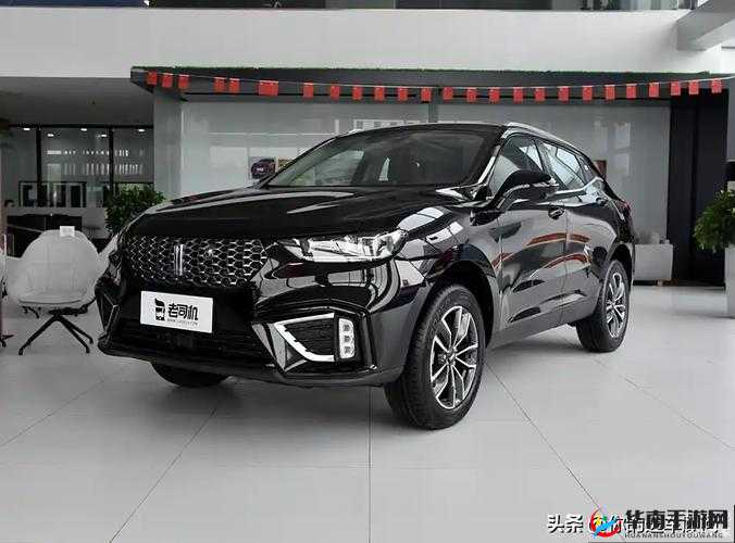 WEYVV5 国产 SUV 领袖，引领汽车市场新潮流