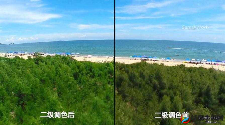 一级二级调色大片区别评测：深入剖析二者差异所在