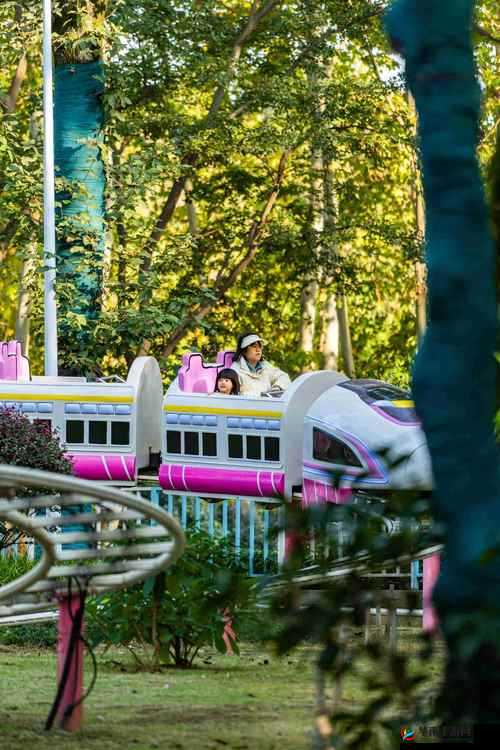 和女朋友坐公交车最后一排：那浪漫温馨的时光之旅