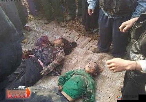 缅甸北部血腥网站 2024：深度揭秘其背后的黑暗与恐怖