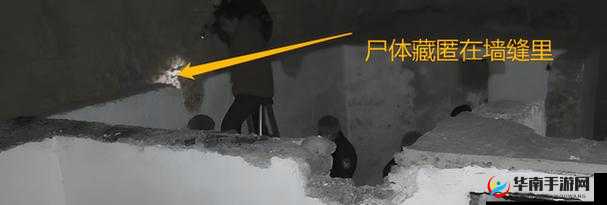 手脚被困手术室做实验：离奇遭遇引发的惊悚谜团