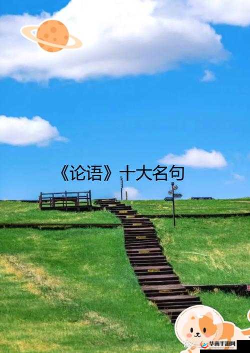 719y 你会回来感谢我的在用户中疯传：背后的神秘力量与深远影响