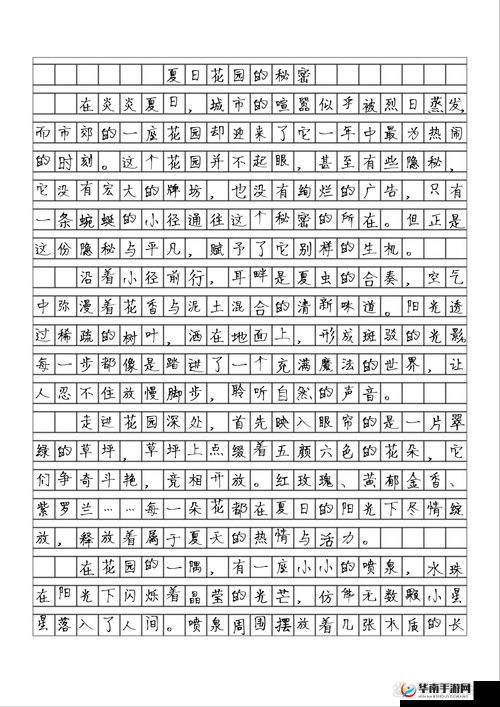 成色好的 Y31 的秘密：探寻其背后不为人知的故事与独特魅力