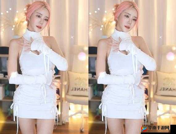 多毛 bgmbgmbgm 胖在线无法访问相关问题探讨