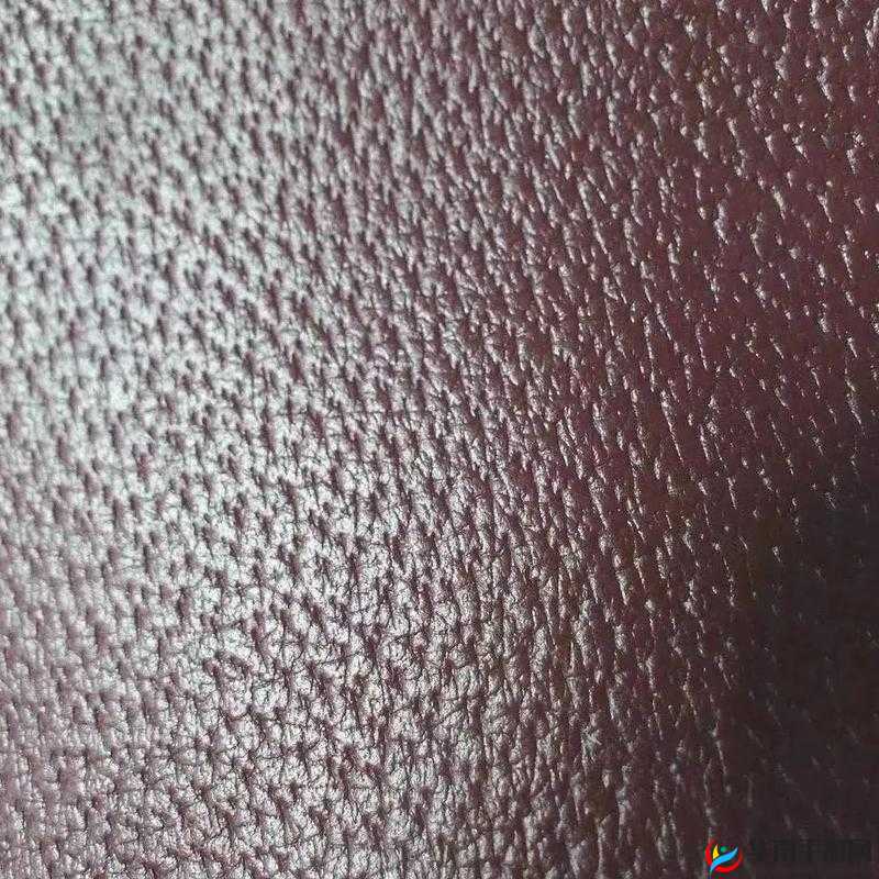 AAAA 级毛皮最简单三个标志:品质的象征