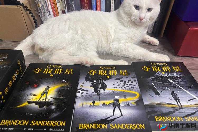 亚洲黄色影片相关内容引发的深度探讨与思考