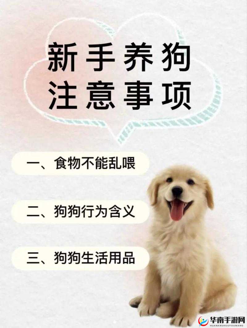 带狗去医院的注意事项：狗和人需锁在一起