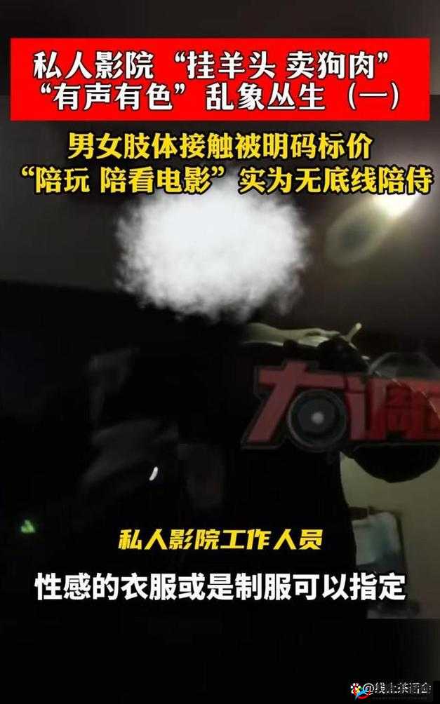 夜间十大禁用软件免费观看破解版：挑战道德与法律的灰色地带