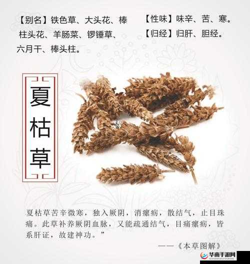 一味药久交不泄的土方法揭秘其原理及功效