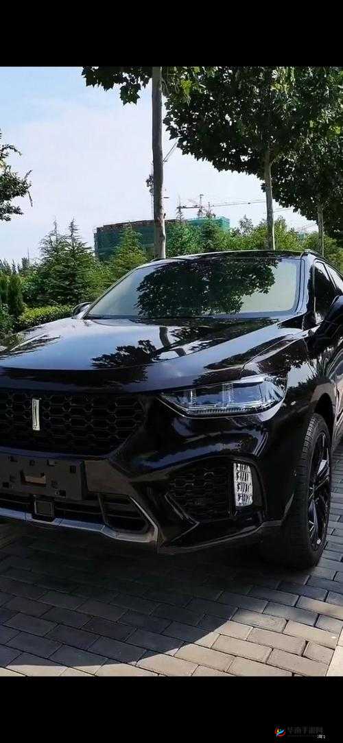 国产 SUV 之威派 Wey-VV5 强劲来袭