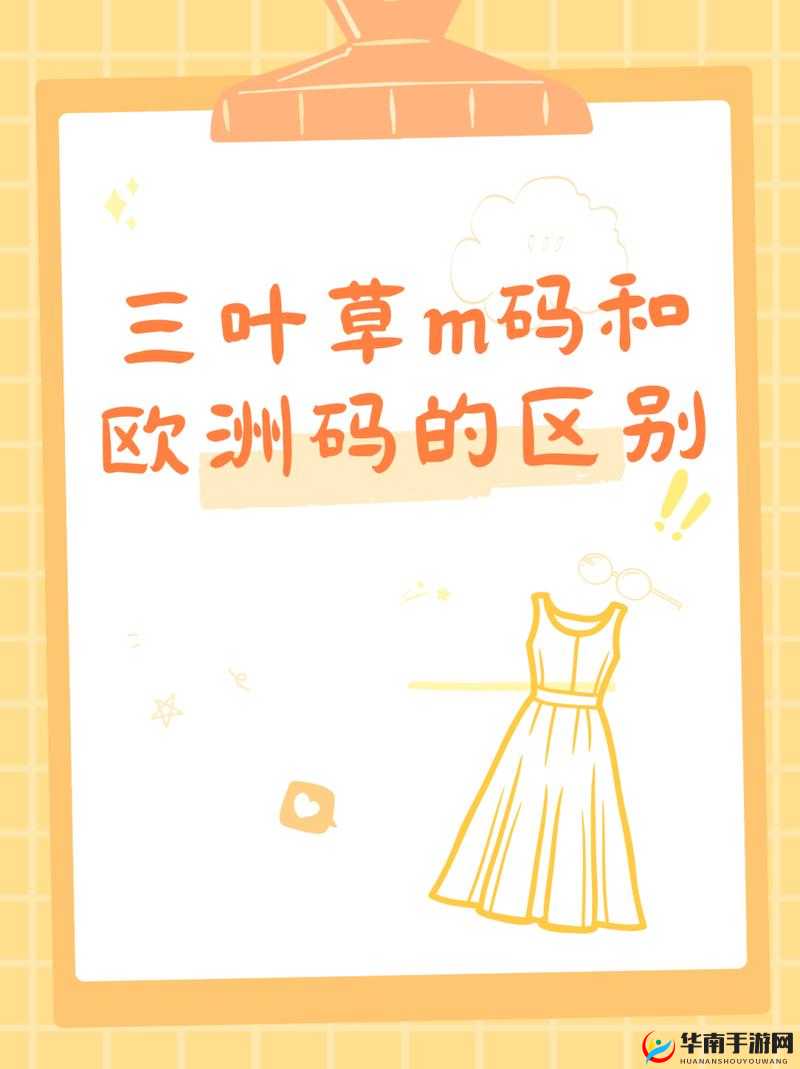 三叶草 M 码和欧洲码区别到底在哪里以及二者详细对比分析