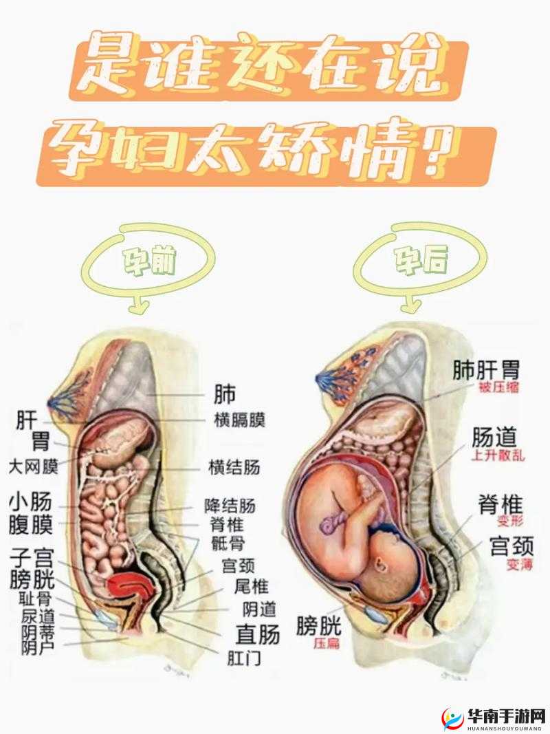 怎么才能让妈妈不怀孕：从生活细节到具体方法的全面探讨